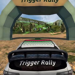 TRIGGER RALLY 3D