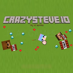 CRAZY STEVE .IO