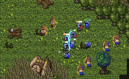Immagini di gameplay Little War Game 3