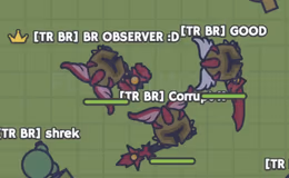 MOOMOO IO Gameplay-Bilder 1