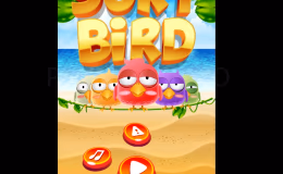 Изображения геймплея Sort Bird 1