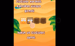 Изображения геймплея Sort Bird 3