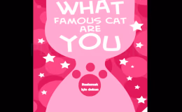 Gambar Gameplay What Famous Cat Are You 1