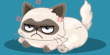 play What Famous Cat Are You